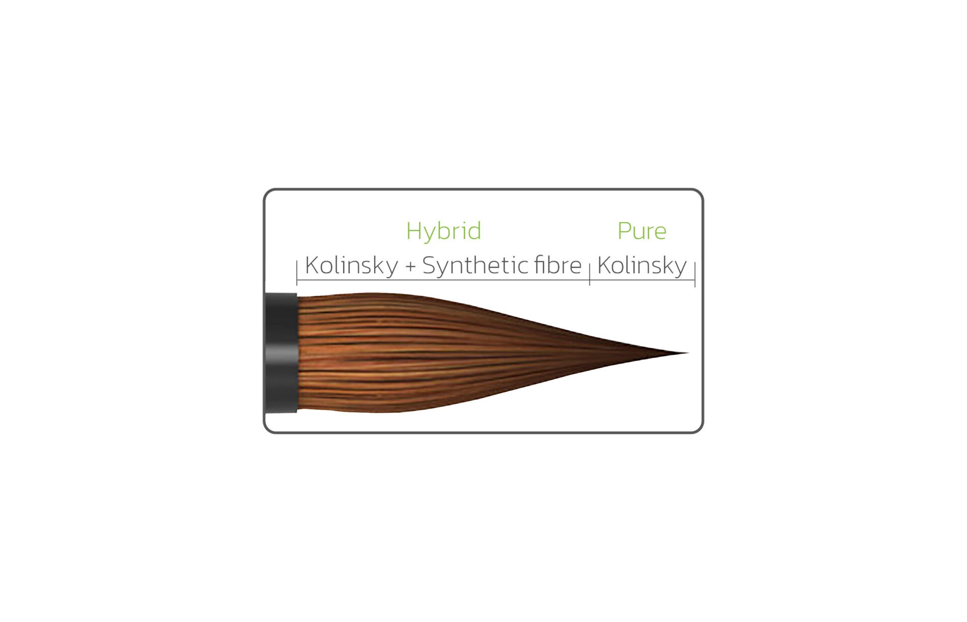 FusionBrush - HPdent layering brush with Kolinsky synthetic fiber - 2